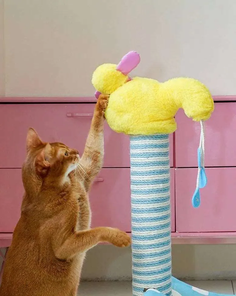 Cat Climbing Frame: Ultimate Bath & Play Playground for Your Pet